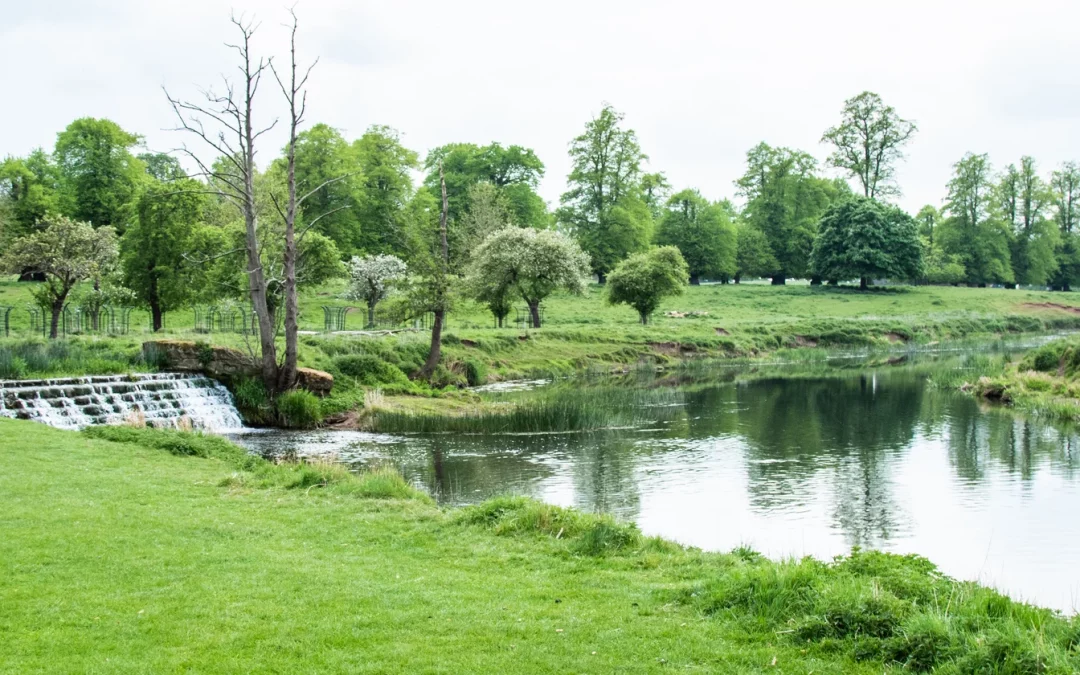 charlecote garden stunning landscape with lake and green grass and tress