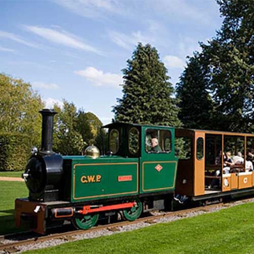 green train on sunny day